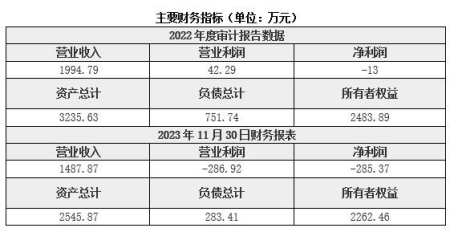 北京軟件技術(shù)服務(wù)公司轉(zhuǎn)讓項目