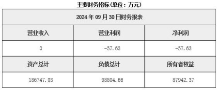 新疆新能源發電公司轉讓項目